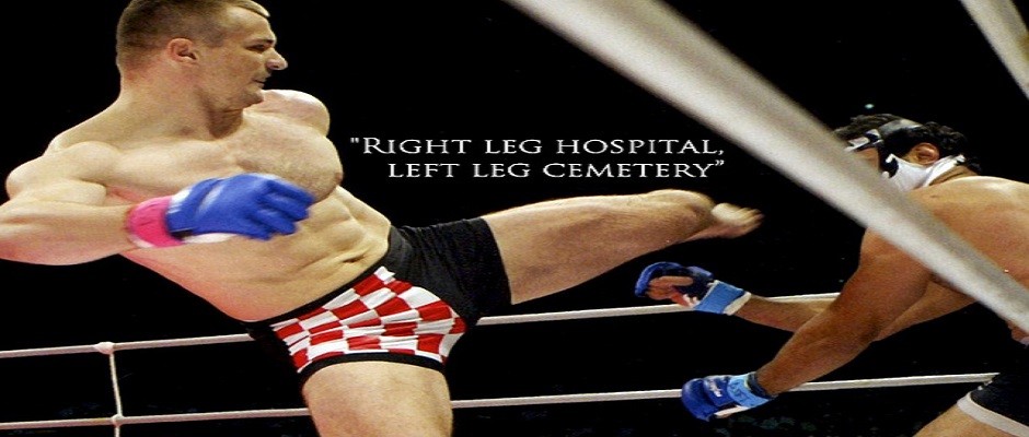 Mirko cro cop highlight